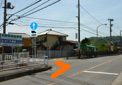 ���c�����؈ē��}�Q