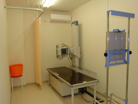 �����g�Q����